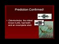 Click here to watch this video Evolution: Where Are The Transitional Forms?