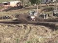 TURBINADOS E SELVAGENS EM DOMFE TURBINADOS E SELVAGENS EM DOMFE