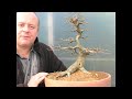 Bonsai Quick Fix Demo' by Graham Potter 