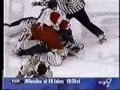 Goalie Fights