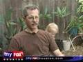 Houston Infected By Electronic-Eating Ants (Fox News Report)
