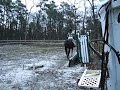 flatting on frozen uneven ground= unhappy horse, token seems to pull it off like it doesn't bother her though lol. just cantering a little with a quick change across the diagonal