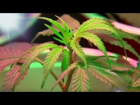 Pot shops open in Washington state