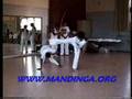Mestre Marcelo Caveirinha and Mestre Espirro Mirim 1