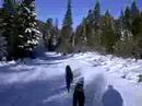 This is Tempo in the lead and Seamus in wheel skijoring near Lake Tahoe on Jan 7th 07.
