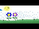 Sprinklers : To Flower\ Sprinklers : To Flower\