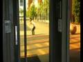 videos de O'stone 4