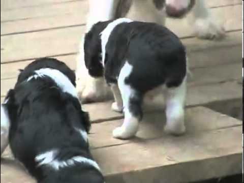 Black and white male HOLD