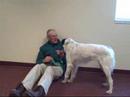 *ADOPTED* Fiona A164217 Humane Society Adopt