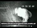 Cloacas Argentinas �