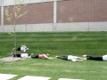 videos de rolling down a hill