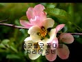 고향의 봄 - Spring in My Hometown - 하모니카 이중주