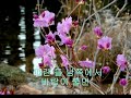 고향의 봄 - Spring in My Hometown - 하모니카 이중주