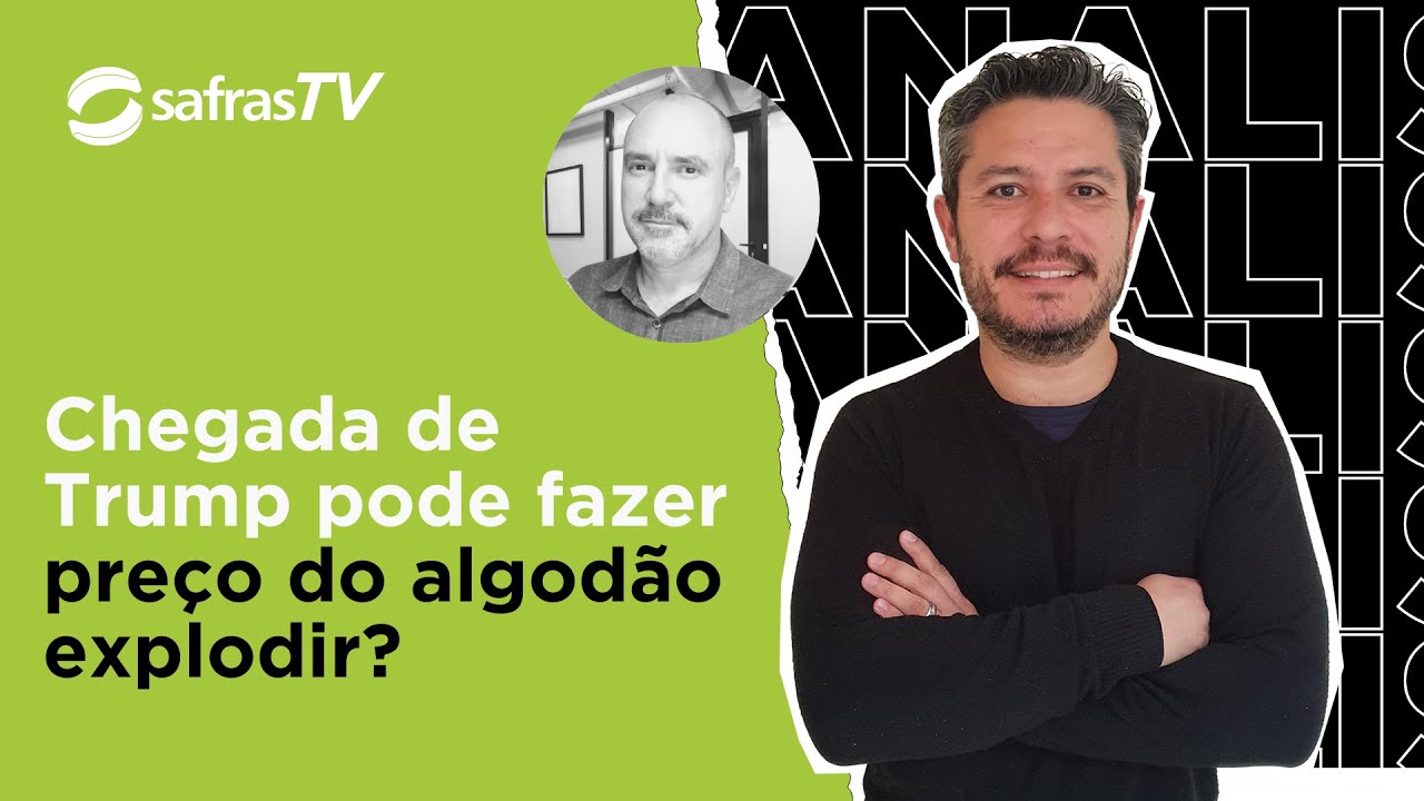 “Conversa com o Analista” aponta oportunidades do mercado de algodão no Brasil com governo Trump
