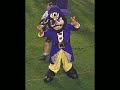 ECU - Go Pirates!