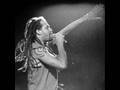 What I Got (Sublime) - Micheal Franti & Spearhead
