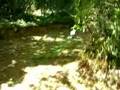 FORESTIERE UNDERGROUND GARDEN.1