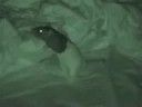 Fatass in Night VIsion