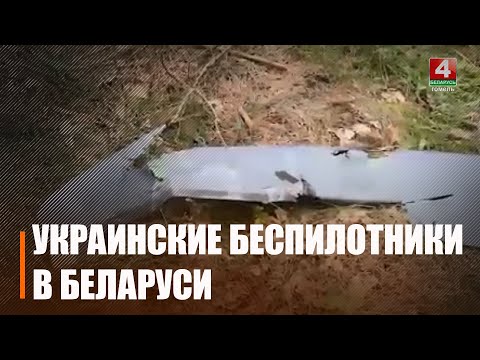 Андрей Кривоносов прокомментировал нарушение границы Беларуси украинскими дронами видео