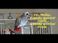 RUBY THE TALKING PARROT (WITH SUBTITLES) PART 3