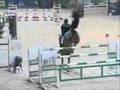 Equestrianism-Can You Handle It?