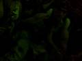 videos de 17072008024.mp4