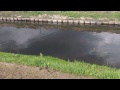 Vliegvissen op winde