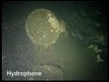 U12 - Uboat found off Eyemouth