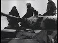 jean goujon : des ardennes à bastogne  belgique 