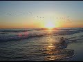 lo mejor de LOM-C