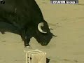 BullFighting.wmv