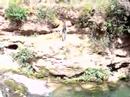 moha_kino@hotmail.com moha_kino@hotmail.com