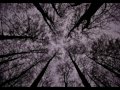Surreali?ci w Gubinie, Galeria Ratusz ! Surreali?ci w Gubinie, Galeria Ratusz !