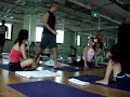 king pigeon king pigeon