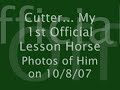 Photographs of Cutter : Taken October 2007