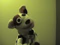 Skippy sings John the Revelator