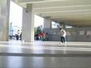 los skater de los tribunales, concepción