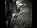 Original Harmony Ridge Creek Dippers - Run With The Ponies