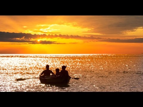 8 Hour Deep Sleep Music: Delta Waves, Calming Music, Soft Music, Sleep Song ☯467 8 Hour Deep Sleep Music: Delta Waves, Calming Music, Soft Music, Sleep Song ☯467