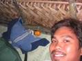 kwebang lampas