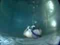 Air Ring Champion NAUI 1446 Scuba Underwater Air Ring Champion NAUI 1446 Scuba Underwater