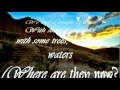 MARIN SORESCU - CONTABILITATE - videoclipul lui ametist