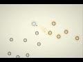 Dyson Gameplay Dyson Gameplay