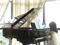 fur elise   beautiful blue danube   shernice 231007