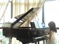 fur elise   beautiful blue danube   shernice 231007