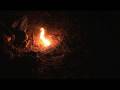 videos de Loki Music Festival - JJ Grey and Mofro