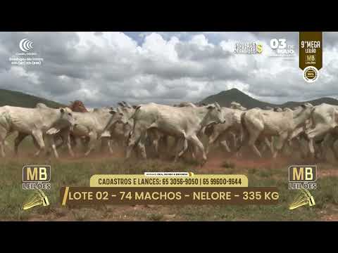 9� MEGA LEIL�O DA MB LEIL�ES