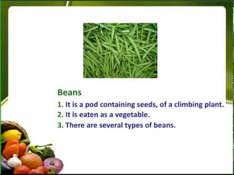 dictionary for kids - This online picture dictionary is helpful for kindergarten kids. Introduce them with every day english words.Watch videos of animals,fruits,my family,househo...