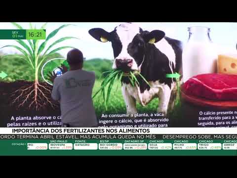 Importância dos fertilizantes nos alimentos