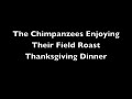 Thanksgiving Field Roast 09